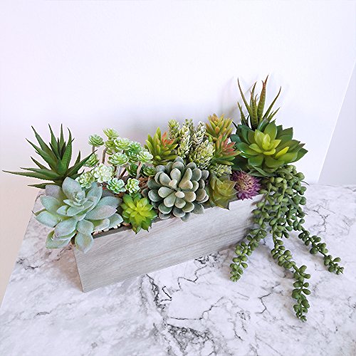 Winlyn 6 Pcs Unpotted Fake Succulents Assorted Faux Succulent in Different Green Artificial Hanging Succulents Textured Faux Succulent Pick Hanging String of Pearls Plant for Wedding Centerpieces