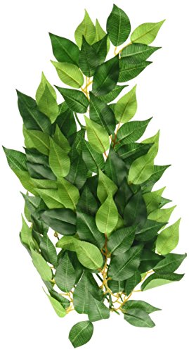 Hagen Exo Terra Silk Terrarium Plant, Medium, Ficus - color: Multi Color, size: Medium