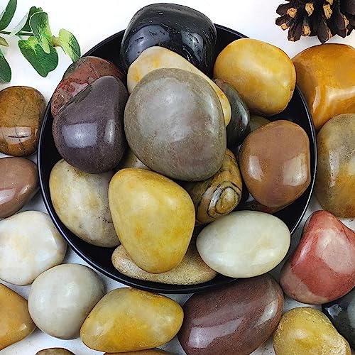 5lbs Pebbles for Indoor Plants, 2-3 Inch Mixed Color River Rocks | High Polished Large Outdoor Decorative Stones Vase Filler Fish Tank Aquariums Landscaping Garden Outdoor and Indoor DIY - color: Mixed Color, size: 5 Pounds