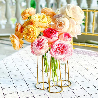 Propagation Station Terrariums with Gold Metal Stand - Kate Aspen 3 Glass Test Tube Planters for Indoor Plant, Air Plants, Plant Clippings, Cut Flowers, Herbs, Succulents | Home Decor Table Decoration