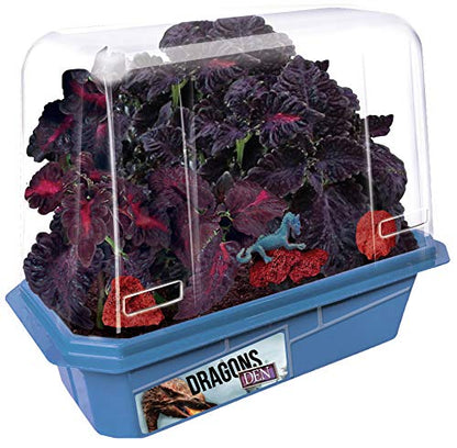 Toys By Nature Miniature Worlds Dragon's Den Flower Windowsill Terrarium Starter Kit, Complete Supplies to Grow Your Own Indoor Mythical Lair with Dragon Figurine and Lava Rock (Dragon's Den) - style: Dragon's Den