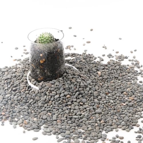CJGQ Decorative River Rocks Pebbles for Succulents, Cacti & Gardens, Aquarium Gravel, Fish Tank Rocks, 2.4 lb - color: Black-Small, size: 2.4lb
