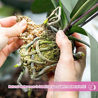 14OZ Sphagnum Moss for Plants - 16QT Natural Long Fibers Orchid Moss | Moisture Retention & Drainage Balance, Plant Moss for Orchids, Succulents, Carnivorous, Ferns, Reptile Bedding & Terrariums - size: 16 QT(14 oz)