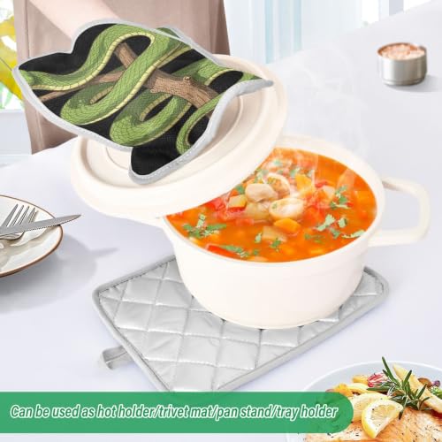 Pot Holder Set Anti-Scald Table Protection | Polyester Single Side Print Table Heat Mat Two Piecing Funny Green Tree Python Lover Reptile Keeper Pet Owner Snake