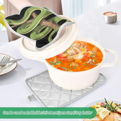 Pot Holder Set Anti-Scald Table Protection | Polyester Single Side Print Table Heat Mat Two Piecing Funny Green Tree Python Lover Reptile Keeper Pet Owner Snake