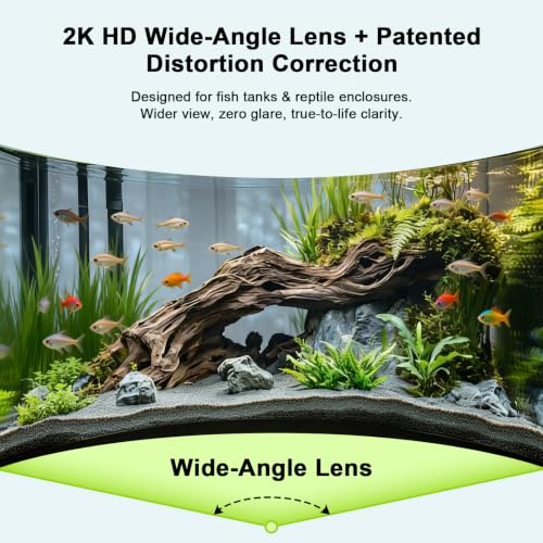 2K AI Reptile & Aquarium Camera with Wide-Angle Lens | 2.4G&5GHz WiFi, 24/7 Recording, Anti-Glare & No Reflection for Fish Tank Terrarium Lizard Snake Pet
