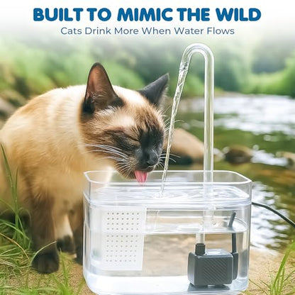 SunGrow Automatic Flowing Hydration with Filter, Silent USB Pump Cat Water Fountain, Transparent Feeder Bowl for Indoor Felines, Ferrets, and Small Animals (6" x 5" x 5")