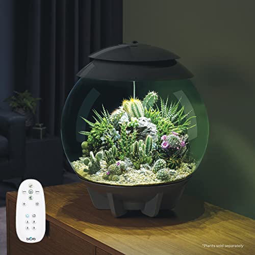 biOrb AIR 30, Fully Automated Terrarium for Arid, Temperate, or Tropical Plants, Gray - color: Grey