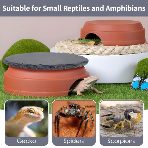 Hamiledyi Small Reptile Hideout Cave Box Diameter 3.7 in Ceramic Humid Shelter and Basking Platform Leopard Gecko Humid Hide for Smaller Lizards Snakes