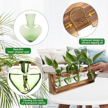 Plant Propagation Stations Heart Plant Terrarium Kit | Gift for Women Plant Lover Glass Vases - color: Green