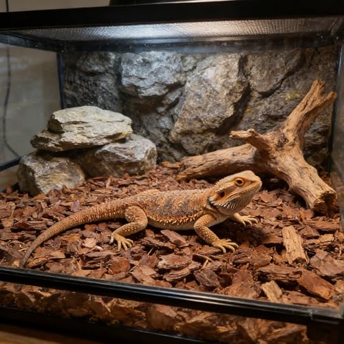 Levemolo Reptile Bark Bedding Natural Tree Bark Chips for Terrarium Decorations Gecko Substrate and Lizard Tank Decor 0.5 Kg Bag 2.36 X 1.18 X 0.39 in