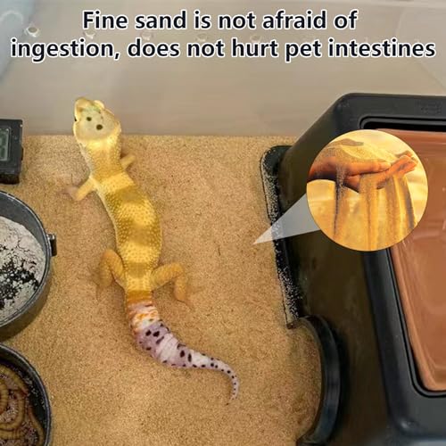 BNOSDM Reptile Sand,2.2lb Bearded Dragons Sands Substrate Bedding,Lizard Yellow Desert Blend Sands for Snakes Geckos Tortoises Turtle Tarantula - color: Yellow - 2.2Ib