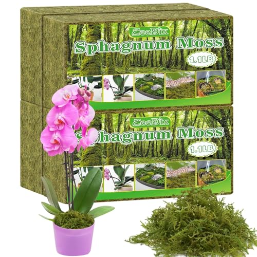 Sphagnum Moss 4.4 LB Long Fiber Green Forest Moss | Ideal for Repotting Orchids, Succulents, and Indoor Plants. Natural Sphagnum Retains Moisture, Improves Root Aeration - size: 4.4 LB