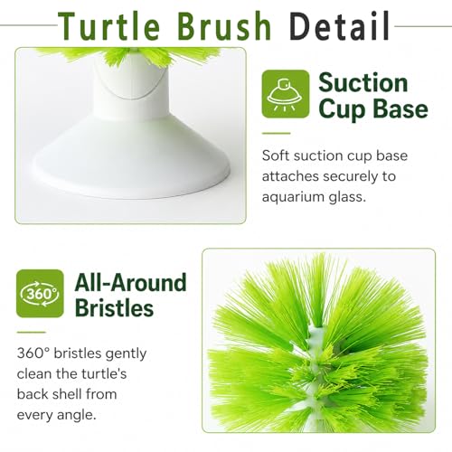 Turtle Scrub Brush, Turtle Scratches Back Brush Turtle Shell Clean Brush with Suction Cup Turtle Exfoliate Brush Tank Tortoise Brush for Remove Turtle Shell Scutes Mud Dirt
