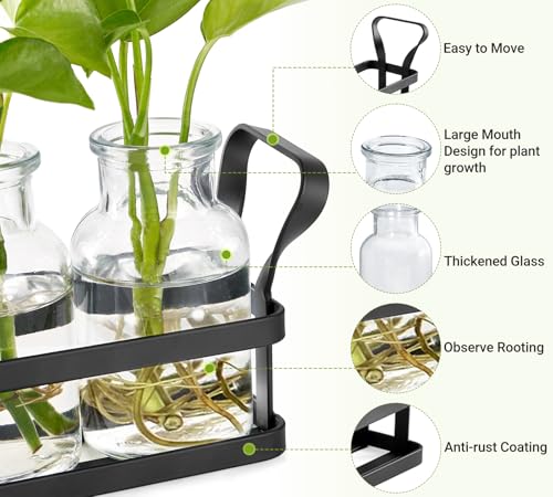 Mkono Propagation Stations, 3 Jars Desktop Glass Plant Terrarium with Stand | Flower Vase, Hydroponic Cuttings, Easy Water Refill,Clear Root View Planter,Farmhouse Home Office Decor, Gardening Lover Gift - size: Medium