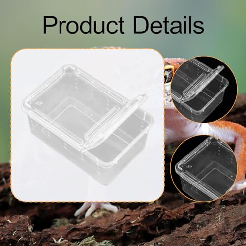 Reptile Feeding Box,Transparent Terrarium Habitat Cage Breeding Box Hatching Container for Gecko Animal Cricket Lizard, Style B - size: Style B