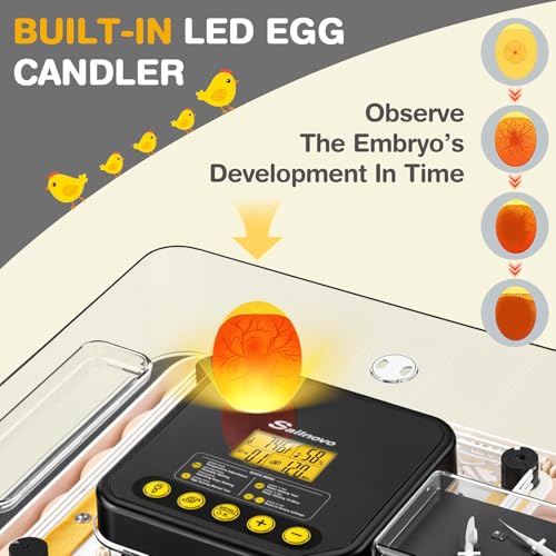 Sailnovo 48 Egg Incubator for Hatching Eggs with Auto Egg Turning, Precision Temp & Humidity Control, 360°Viewing, Egg Candler, Incubator for Chicken Eggs/Duck/Quail,Ideal for Farm/School/Lab,Gray | Precise Temp & Humidity Control，Auto Egg Turning, 360°Vi