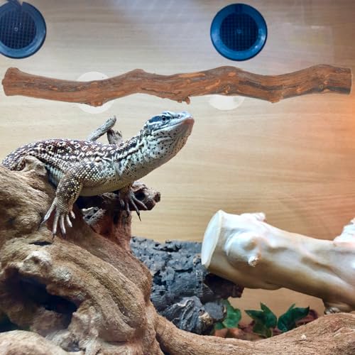 POPETPOP Wood Display Stand Reptile Accessory Grapewood Stand for Bearded Dragon Lizard Terrarium Wooden Climbing Toy with Smooth Round Edges 11.81 X 1.18 X 1.18 in