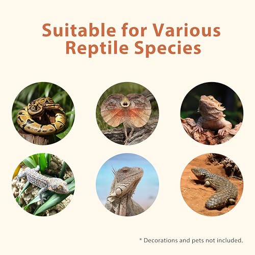 4x2x2 (120 Gallon) PVC Reptile Enclosure, RepWild Terrarium/Tank with Heavy-Duty Screen Top, Glass Sliding Doors & Lock for Bearded Dragons, Ball Python, Geckos, Lizards - size: 48"W x 24"D x 24"H