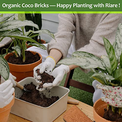 Riare 4pcs Organic Coco Coir Bricks, Natural Coconut Coir for Plants | High Expansion & Moisture Retention Coconut Husk Fiber for Seed Starting, Potting Mix, Composting, Soil Amendment & Reptiles - color: Pack of 4