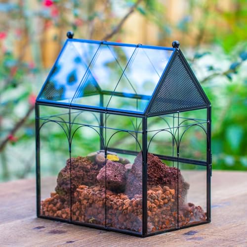 NCYP Glass Enclosure with Vent Holes for Jumping Spiders, Praying Mantis, Small Insect - 7.5" x 4.9" x 9" Front Opening Door Vented Glass Terrarium - House Shape, Home Decor, Black (Terrarium Only) - size: 7.5" x 4.9" x 9"