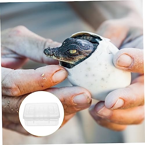 GANAZONO 2Pcs Compartment Reptile Egg Incubator Tray Professional Hatchery Box for Tortoise Lizard Transparent Design for Easy Observation Pet Supply