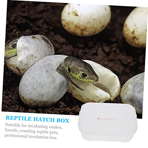 LIOOBO Egg Incubator for Reptile Lizard and Gecko Breeding Box 12 Grids Easy to Use