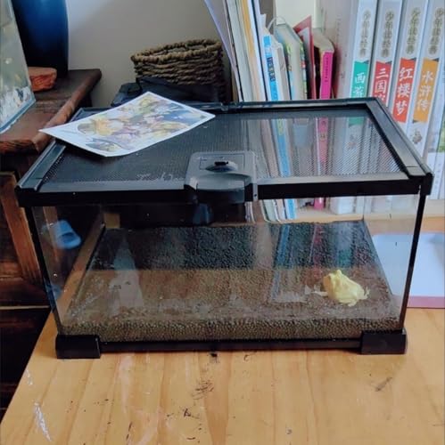 AWXZOM Mini Reptile Glass Terrarium Tank, cage for Tarantula Sling Geckos, Frog, Lizards, Chameleons,Turtles Snake Snail Insect Hermit Crab Isopods Reptiles Enclosure (12x8x6inch) - size: 12x8x6inch