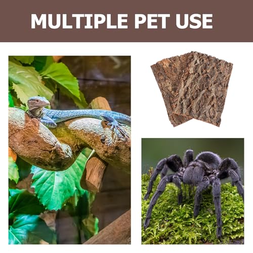 DOITOOL 2 PCS Natural Cork Bark Background, 11.8" x 7.9" Reptile Tree Bark Reptile Hides for Tank Backdrop Climbing Wall Terrarium Decor Accessories for Bearded Dragon Lizard Geckos Tortoise