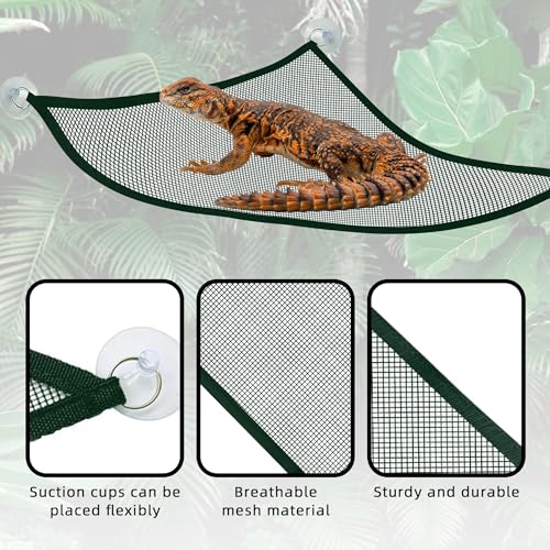 2 Pcs Bearded Dragon Lizard Hammock, Geckos Hammock, Breathable Mesh Reptile Hammock, Suitable for Large & Small Bearded Dragons Anole Geckos Lizards or Snakes（Green） - color: Green