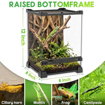8"x8"x12" Reptile Terrarium, Single-Door Glass Arboreal Vivarium for Small Arboreal Lizards Such as Small Day Geckos, with Lock, Cable Port & Waterproof Deep Base Below Front Door