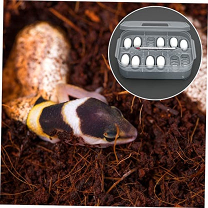 TOYANDONA Reptile Breeding Box Transparent Hatching Box for Snakes and Lizards Material Easy Clean and Lightweight Incubation Tray