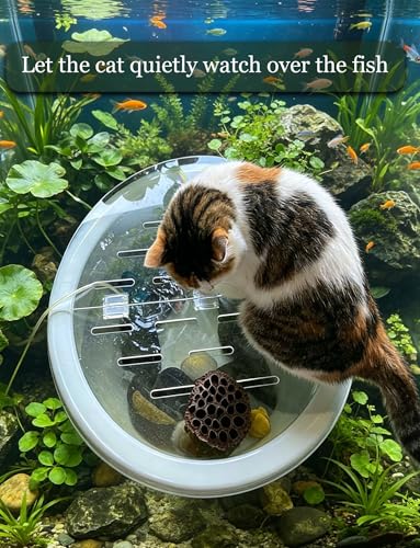 Acrylic Aquarium Cover, 5mm Thick Cuttable Lid for Fish Tanks, Reptile Habitats, Customizable Top Panel for Display Tanks - size: 10in/25.40cm