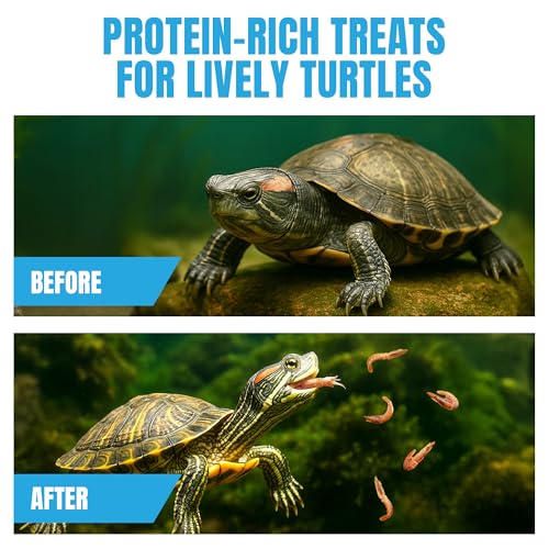JOR Dried Shrimps for Turtle, Freeze-Dried High Protein, Low Fat Snack for Shell Growth & Energy, Easy-Chew Treat for Tropical Fish, Reptiles, Amphibians & Other Aquarium Pets, 1 oz