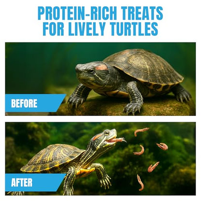 JOR Dried Shrimps for Turtle, Freeze-Dried High Protein, Low Fat Snack for Shell Growth & Energy, Easy-Chew Treat for Tropical Fish, Reptiles, Amphibians & Other Aquarium Pets, 1 oz