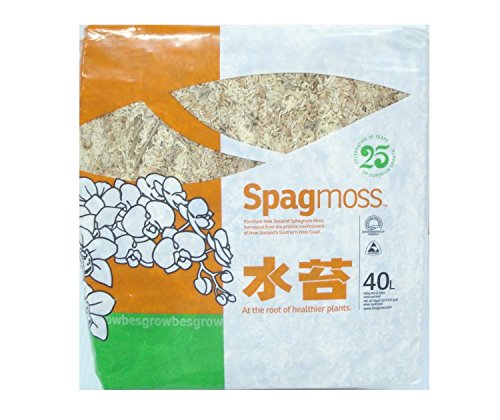 Spagmoss Premium New Zealand Sphagnum Moss AA Grade (500 Gram) - size: 500 Gram