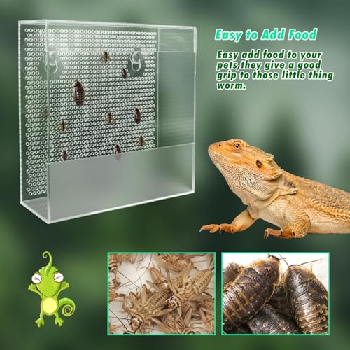 Transparent Acrylic Reptile Feeder Box, Wall-Mounted Insect Feeder with Suction Cups, Tank and Aquarium Accessories for Lizard, Bearded Dragon, Gecko - size: Large - 7.5 × 2.7 × 7.7 inch