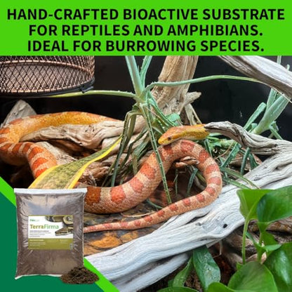 The Bio Dude Terra Firma Bioactive Reptile Substrate 6 quarts for terrariums and vivariums. Bioactive Habitat Substrate for Ball Pythons, Fat Tail Geckos, Milk Snakes, King Snakes and Monitors