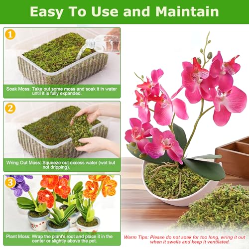 4QT Sphagnum Moss for Plants, 3.5OZ Natural Long Fiber Orchid Moss | Drainage & Moisture Retention, Green Plant Moss for Orchid Repotting, Carnivorous, Succulents, Reptile Bedding & Terrariums - size: 3.5OZ