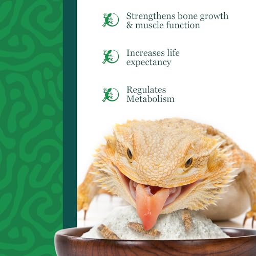 CoCoo Reptile Calcium Powder, Ideal for Leopard Geckos, Chameleons, Iguanas, Turtles, Chicken & Dog, Avoid Vitamin D3 Overdose in Bearded Dragons, Lizards Love It, Energy-Rich Additional Feed, 2 oz.