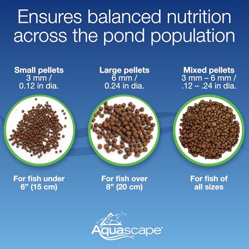 Aquascape Premium Staple Fish Food Pellets for Small to Medium Pond Fish, Medium Pellet, 2.2 Pounds | 98868 - size: 2.2 Pound (Pack of 1), style: Medium Pellet