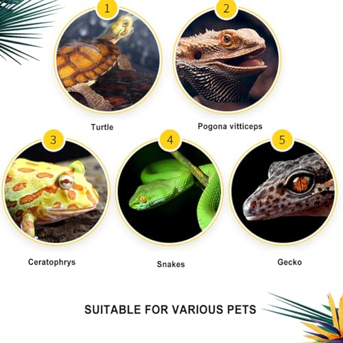 Reptile Float Glass Growth Tank, Transparent Reptile Terrarium with Wiring Hole, Eco Rainforest Feeding Box, Reptile Breeding Box Suitable for Stacking, Top Screen Ventilation Escape Proof Lid, - color: A