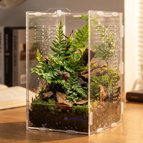 Acrylic Jumping Spider Enclosure, 5.91×5.91×9.84 in Clear Terrarium | Front opening ventilated habitat for jumping spiders, small spiders and slow-moving invertebrates; clear acrylic display. - size: 6.0"L x 6.0"W x 9.0"H