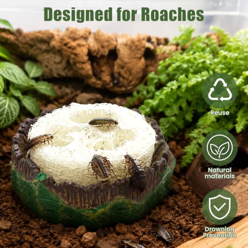 Cockroach Water Basin with 4 Loofah Set, Dubia Roach Water Dish, Dubia Roach Container for Roaches, Mealworms, Crickets, Isopods