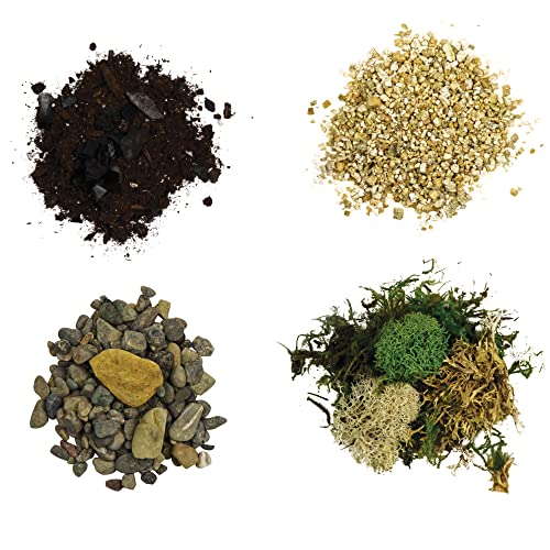 Terrarium Starter Kit | Moss, Vermiculite, Soil, Pebbles, Plant Food, Finishing Tools, Build and Care Guide | DIY Succulent Terrarium for Adults and Kids (Large + Live Plants) - size: Large Kit + Live Plants