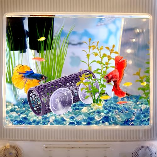 Abizoo Betta Cave - Purple Fish Tunnel with Holes for Small Fish & Shrimp Habitat, Betta Toys Shelter Hideaway, Moss Aquarium Ornament - color: Purple