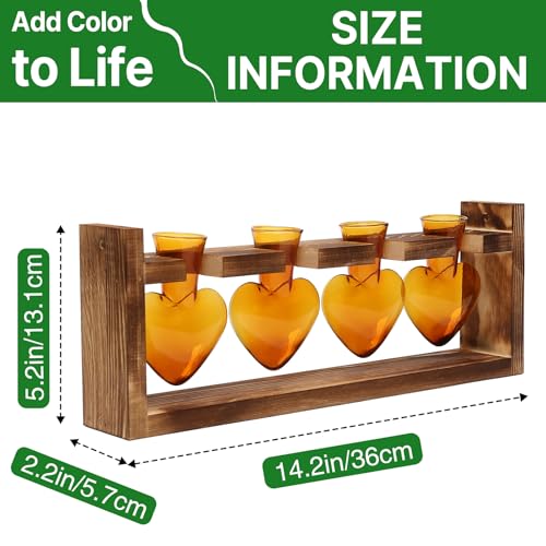Plant Propagation Stations Heart Plant Terrarium Kit | Gift for Women Plant Lover Glass Vases - color: Amber