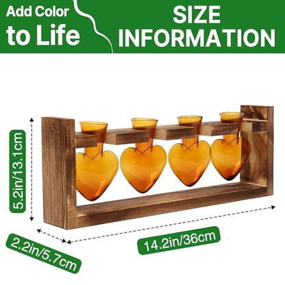 Plant Propagation Stations Heart Plant Terrarium Kit | Gift for Women Plant Lover Glass Vases - color: Amber