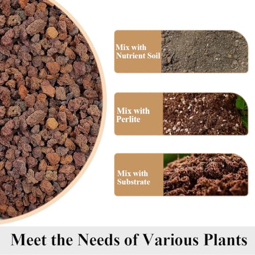 Red Horticultural Lava Rocks for Plants, 5lb Succulents Cactus Bonsai Soil Volcanic Rocks for Aquarium Outdoor Decorative Stones for Craft Projects, Vase Fillers - color: Red Lava Rock, size: 5 Pounds