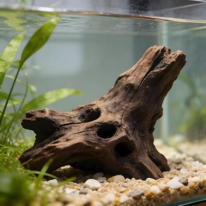 Natural Driftwood Tree Decoration for Aquarium, Fish Tank Plant Stump Ornament, Random Style(5-10cm)